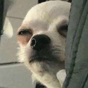 Meet your Posher, Lydia